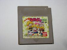 Covers Welcome Nakayoshi Park gameboy