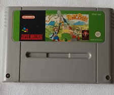 Covers Power Piggs of the Dark Age snes