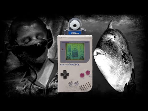 Scène vidéo liée à Accessoire Game Boy