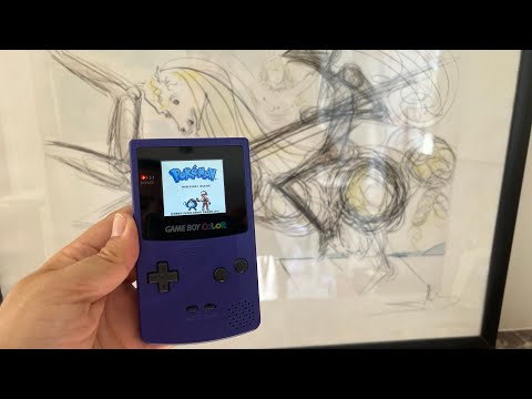 Aperçu vidéo de Accessoire Game Boy color