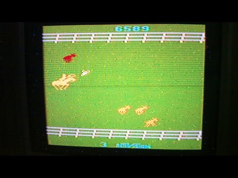Stampede sur Atari 2600