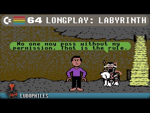 Photo de Labyrinth: The Computer Game sur Commodore 64