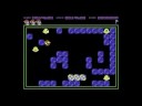 Scène de jeu de Pengo sur Commodore 64