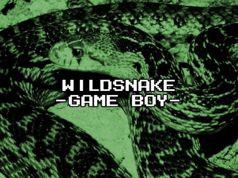 Screen de WildSnake sur Game Boy
