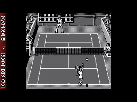 Image du jeu Yannick Noah Tennis sur Game Boy
