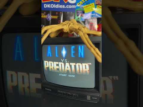 Image du jeu Alien vs Predator sur Game Boy