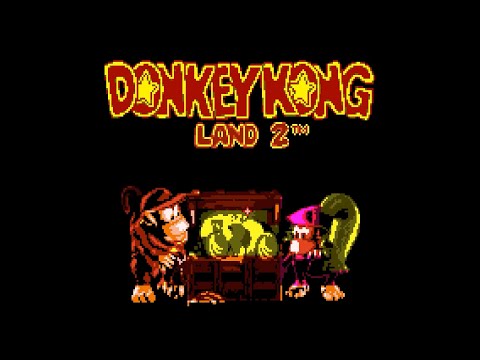 Image du jeu Donkey Kong Land 2 sur Game Boy