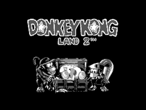 Image de Donkey Kong Land 2