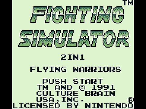 Image du jeu Fighting Simulator: 2-in-1 Flying Warriors sur Game Boy