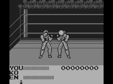 Fighting Simulator: 2-in-1 Flying Warriors sur Game Boy