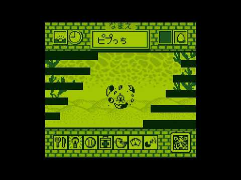 Photo de Game de Hakken!! Tamagotchi 2 sur Game Boy