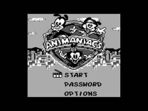 Photo de Animaniacs sur Game Boy
