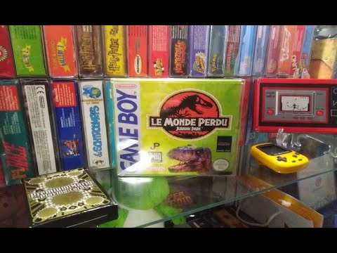 Image du jeu Jurassic Park : Le Monde Perdu sur Game Boy