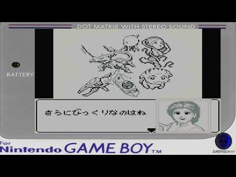 Photo de Kaseki Sousei Reborn sur Game Boy