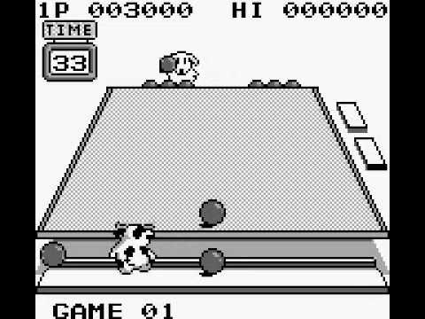 Image du jeu King of the Zoo sur Game Boy