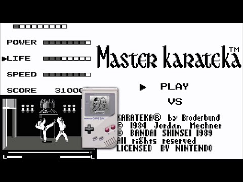 Image du jeu Master Karateka sur Game Boy