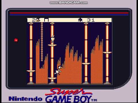 Screen de Maui Mallard in Cold Shadow sur Game Boy