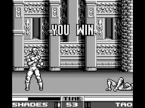 Photo de Raging Fighter sur Game Boy