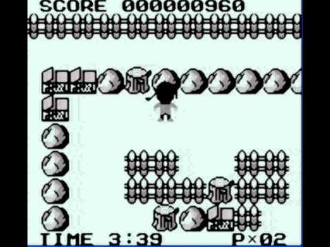 Photo de Ranma ½: Kakuren Bodesu Match sur Game Boy