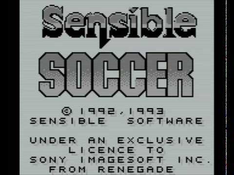 Photo de Sensible Soccer: European Champions sur Game Boy