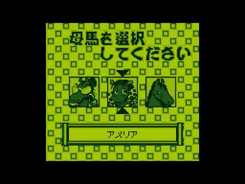 Image du jeu Shin Keiba Kizoku Pocket Jockey sur Game Boy