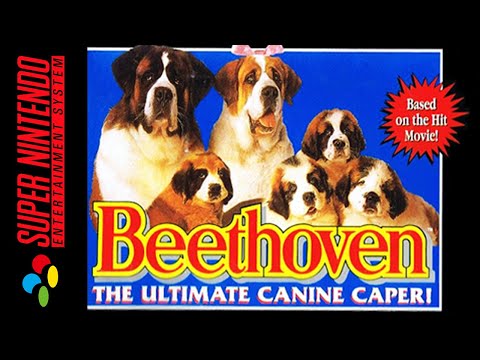 Image du jeu Beethoven: The Ultimate Canine Caper sur Game Boy