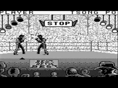 Image du jeu Best of the Best: Championship Karate sur Game Boy