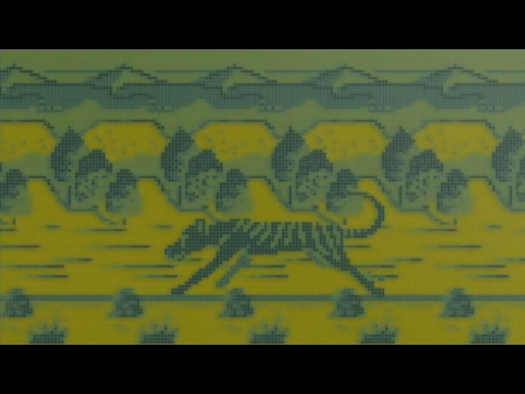 Image du jeu Tasmania Story sur Game Boy