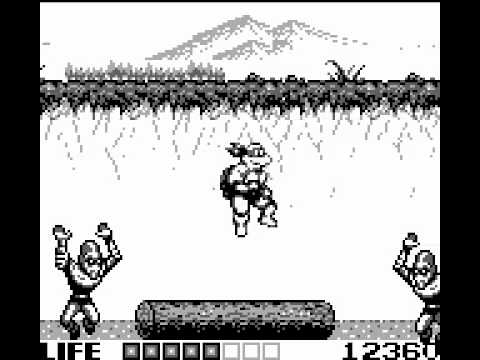 Image du jeu Teenage Mutant Hero Turtles: Fall of the Foot Clan sur Game Boy