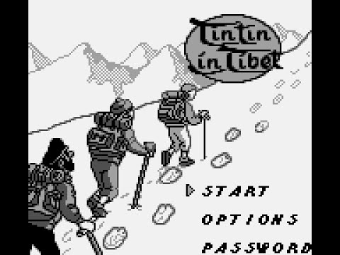 Photo de Tintin in Tibet sur Game Boy
