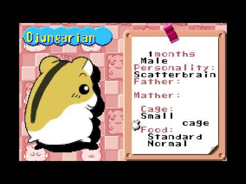 Petz: Hamsterz 2 sur Game Boy Advance