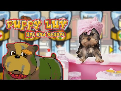 Puppy Luv: Spa and Resort sur Game Boy Advance