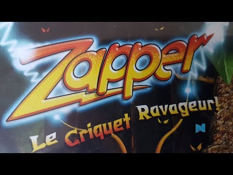 Image de Zapper : Le Criquet ravageur !