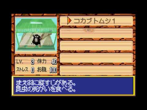 Image du jeu Boku no Kabuto Mushi sur Game Boy Advance