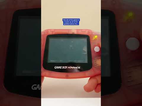Image de Amazing Virtual Sea-Monkeys sur Game Boy Advance