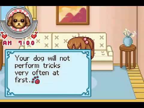 Dogz Fashion sur Game Boy Advance