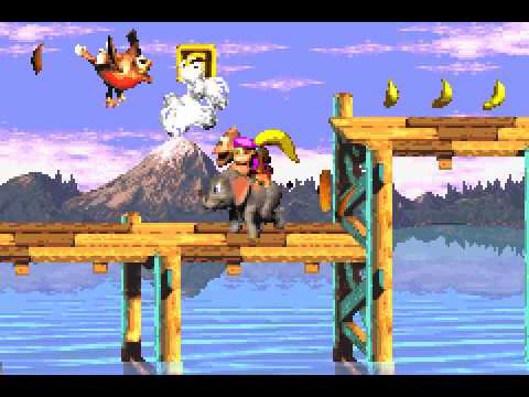 Photo de Donkey Kong Country 3 sur Game Boy Advance