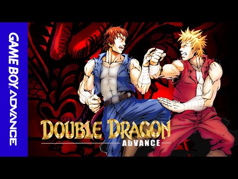 Image de Double Dragon Advance