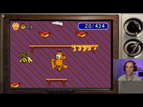 Image du jeu Garfield : À la recherche de Pooky sur Game Boy Advance