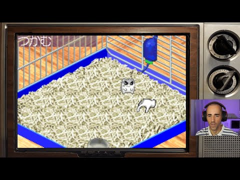 Image du jeu Hamster Monogatari 2 GBA sur Game Boy Advance