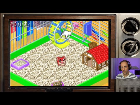 Image du jeu Hamster Monogatari 3EX sur Game Boy Advance