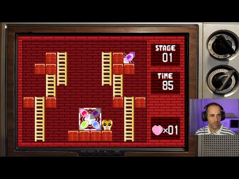 Aperçu du jeu Hamster Monogatari Collection sur Game Boy Advance