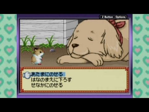 Screen de Hamster Paradise Advance sur Game Boy Advance