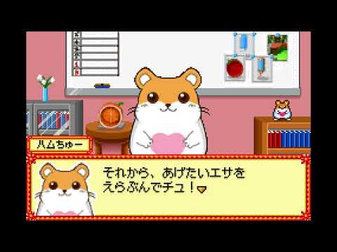 Screen de Hamster Paradise: Pure Heart sur Game Boy Advance