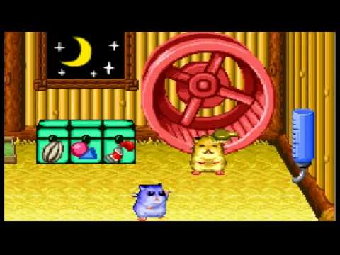 Hamster Paradise: Pure Heart sur Game Boy Advance