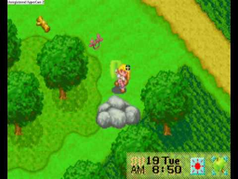 Aperçu du jeu Harvest Moon: More Friends of Mineral Town sur Game Boy Advance