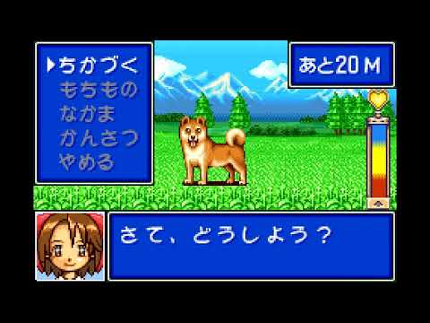 Screen de Kawaii Pet Shop Monogatari 3 sur Game Boy Advance