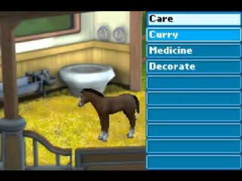 Illustration vidéo de Let's Ride! Friends Forever sur Game Boy Advance
