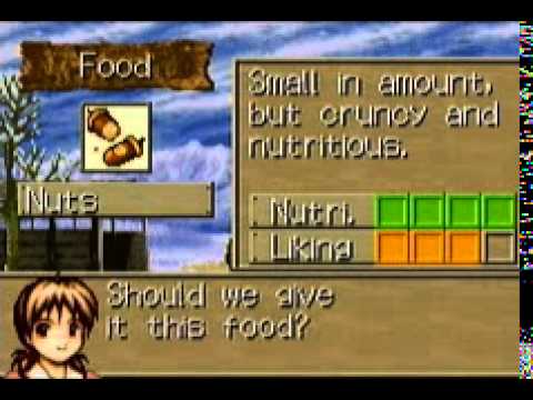 Aperçu du jeu Monster Rancher Advance sur Game Boy Advance