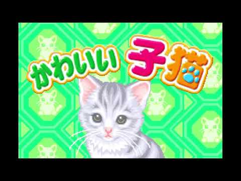 Image du jeu Nakayoshi Pet Advance Series 3: Kawaii Koneko sur Game Boy Advance